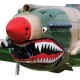 Capot P-40 WARHAWK BH56 Black Horse