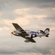 P-51D MUSTANG 20CC ARF 1760MM HANGAR 9