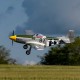 P-51D MUSTANG 1000MM PNP E-FLITE