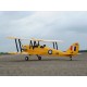 TIGER MOTH 1400MM ARF GP/EP PHOENIX MODEL