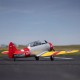 AT-6 TEXAN SN/J5 PNP 1450MM E-FLITE