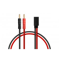 CORDON DE CHARGE POUR RX