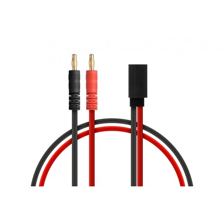 CORDON DE CHARGE POUR RX