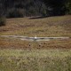 CONSCENDO 2000MM BNF BASIC AS3X ET SAFE SELECT E-FLITE