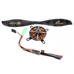 COMBO MOTEUR AM20 PRO 1900KV F3P-A T-HOBBY