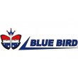 BLUE BIRD