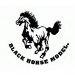 BLACK HORSE MODEL